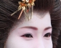 Hannah Simmons’s Quick Guide to Japan Featured Image
