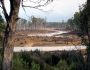 Deforestation in South America Deforestation in South America Featured Image