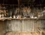 Illegal Poaching in Africa Illegal Poaching in Africa Featured Image