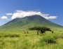 Conservation Work & Volunteer Projects Conservation Work & Volunteer Projects Featured Image