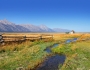 Working on a Ranch, Wyoming Working on a Ranch, Wyoming Featured Image