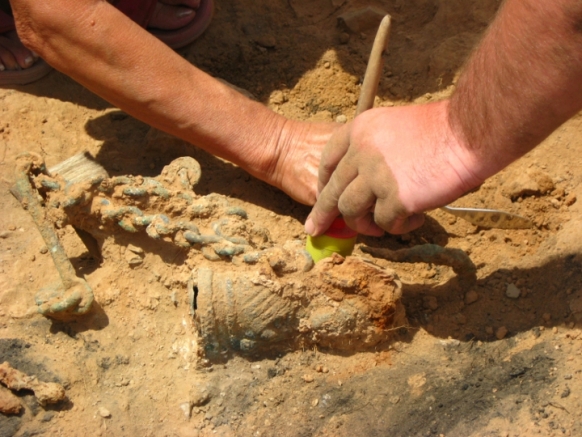 Mystery of whale bones found in Chilean desert Mystery of whale bones found in Chilean desert Featured Image