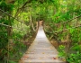 Gold Coast launches brilliant backpacker competition Featured Image