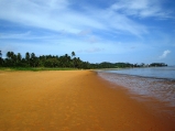 Gap Facts - Guyana Featured Image