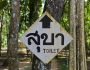 Traveller’s Diarrhoea Traveller’s Diarrhoea Featured Image