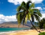 Backpacker numbers to Fiji on the rise Backpacker numbers to Fiji on the rise Featured Image