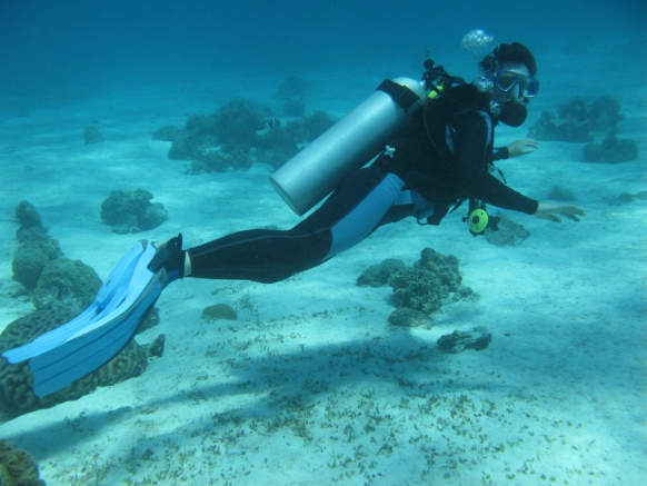 Aussie divers’ shark encounter Aussie divers’ shark encounter Featured Image