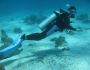 Aussie divers’ shark encounter Aussie divers’ shark encounter Featured Image
