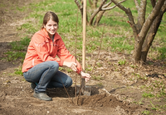 What is WWOOFing? What is WWOOFing? Featured Image