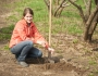 What is WWOOFing? What is WWOOFing? Featured Image