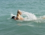 Olympics epic fail Olympics epic fail Featured Image
