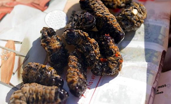 Man “addicted to caterpillars” Man “addicted to caterpillars” Featured Image