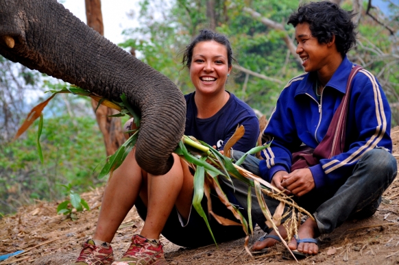 Volunteering with Elephants in Thailand Featured Image