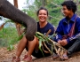 Volunteering with Elephants in Thailand Featured Image
