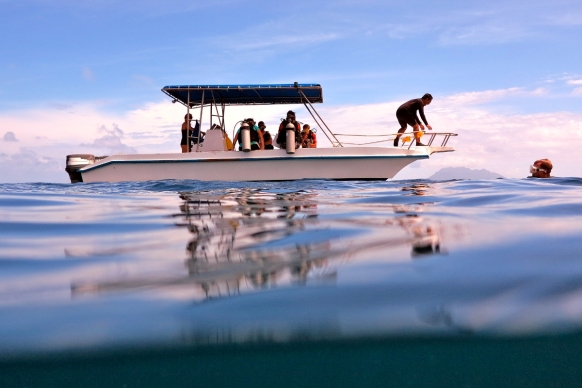 Volunteering in Marine Conservation in the Seychelles Featured Image