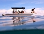 Volunteering in Marine Conservation in the Seychelles Featured Image