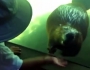 Boy plays with beaver Boy plays with beaver Featured Image