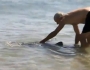 Man vs. Shark Featured Image