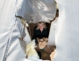 Frozen wee smashes through caravan Frozen wee smashes through caravan Featured Image