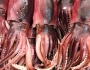 Fishmonger finds bomb inside squid Fishmonger finds bomb inside squid Featured Image