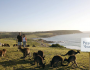 75,000 Brits have applied for Australia’s ‘Best Jobs in the World’ 75,000 Brits have applied for Australia’s ‘Best Jobs in the World’ Featured Image