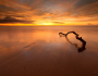 A Photo Essay of Darwin Featured Image