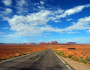 Road Trippin’ the States Featured Image