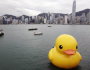 Giant rubber duck makes waves in Hong Kong Giant rubber duck makes waves in Hong Kong Featured Image
