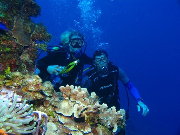 Scuba Diving: A Guide by Warrick Howard Scuba Diving: A Guide by Warrick Howard Featured Image
