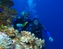 Scuba Diving: A Guide by Warrick Howard Scuba Diving: A Guide by Warrick Howard Featured Image