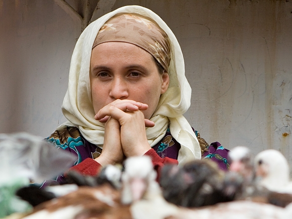 Travelling in Muslim Countries Travelling in Muslim Countries Featured Image