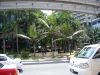 Bukit Bitang
