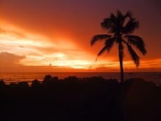A Sunset in Sri Lanka