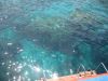 Img 7985