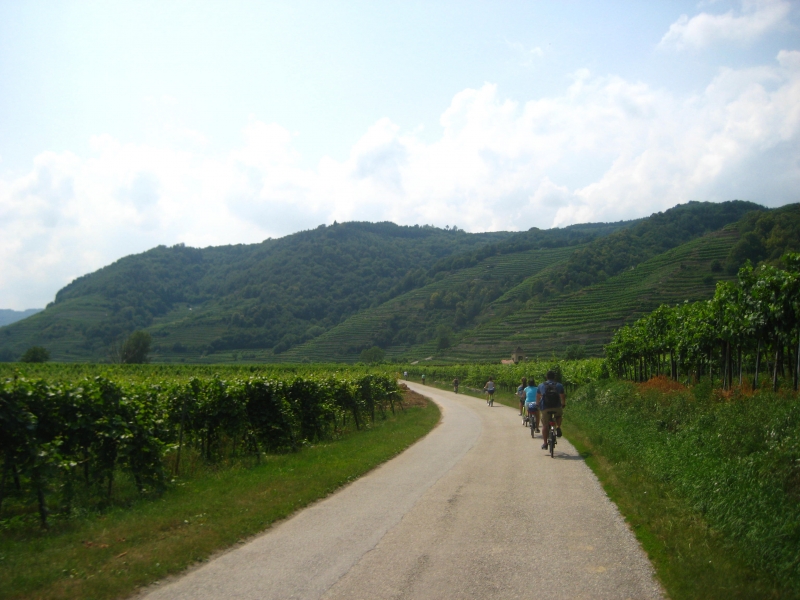 Wacchau valley bike ride