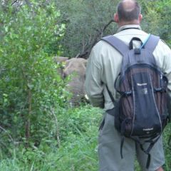 Wildlife encounters on bush walk