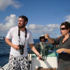 Data collection