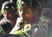 image for Community Outreach Projects on a Tropical Island