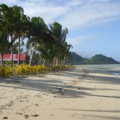 Deborah bate fiji 2008