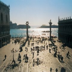 Doge palace and library