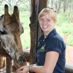 Giraffe centre in Nairobi