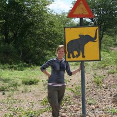 Watch out for elephants!