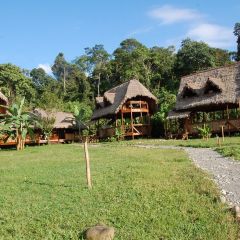 Amazon Conservation in Peru