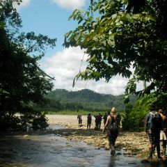 Amazon Conservation in Peru