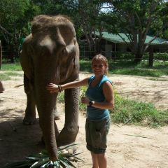 Elephant Care, Thailand