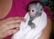 list_image for Wildlife Rehabilitation in KwaZulu-Natal