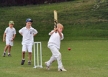 image for Coach & Play Cricket in Auckland