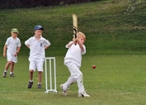 image for Coach & Play Cricket in Auckland