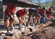 image for Environmental or Community Projects