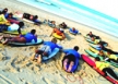 list_image for 14 Day Cairns to Sydney